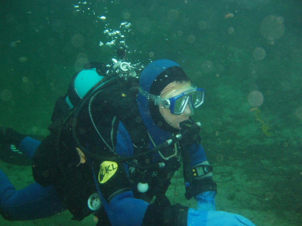 Virus
Mots-clés: verzasca