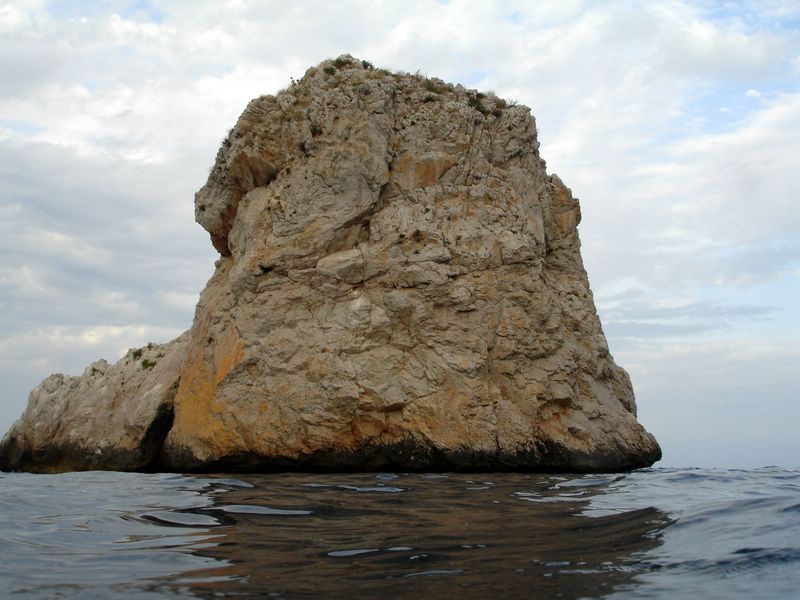 DSC09775-CPPLO
