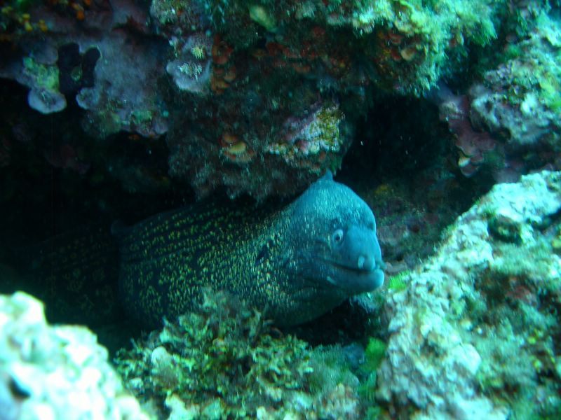 DSC09840-CPPLO
