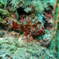 DSC09713-CPPLO.JPG