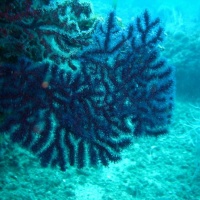 DSC09968-CPPLO.JPG