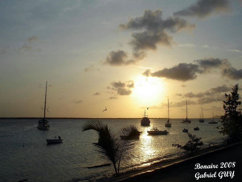 DSC08182-CPPLO
Coucher de soleil sur Klein Bonaire
