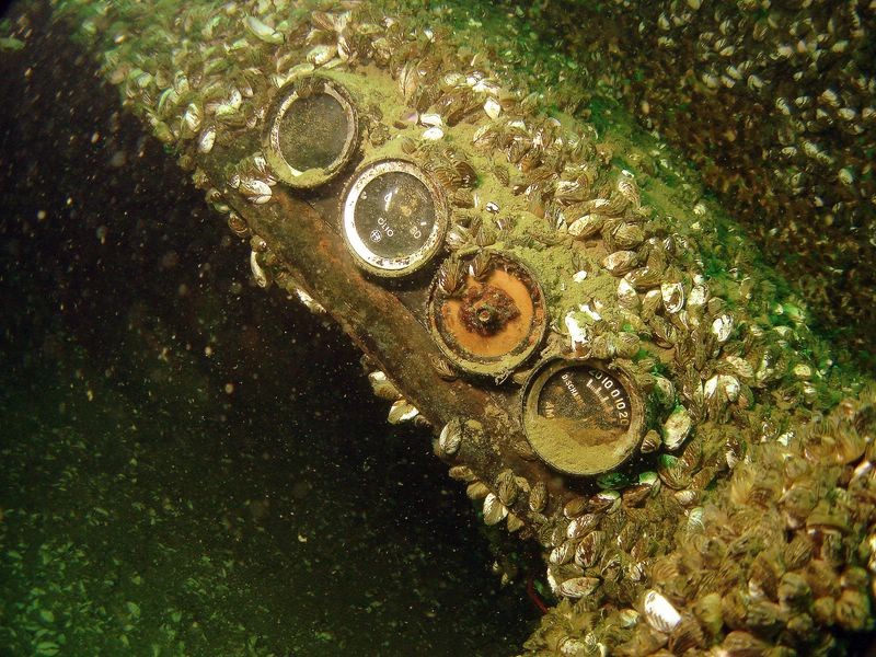 Le tableau de bord du "buch"
