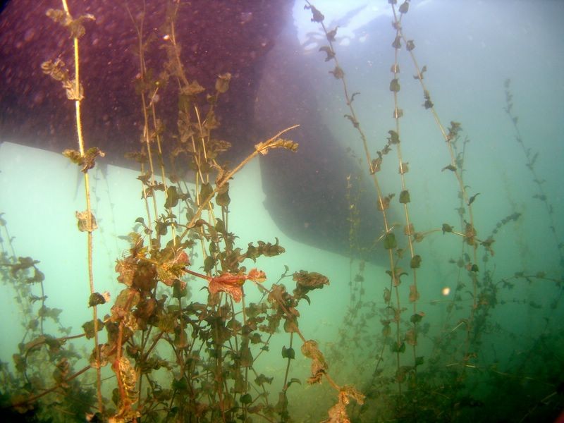 la Neptune vue de dessous
