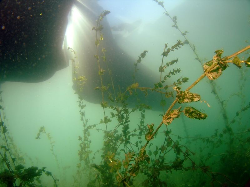 la Neptune vue de dessous
