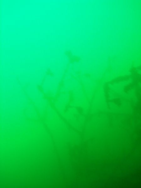 DSC05168_5B800x6005D.JPG