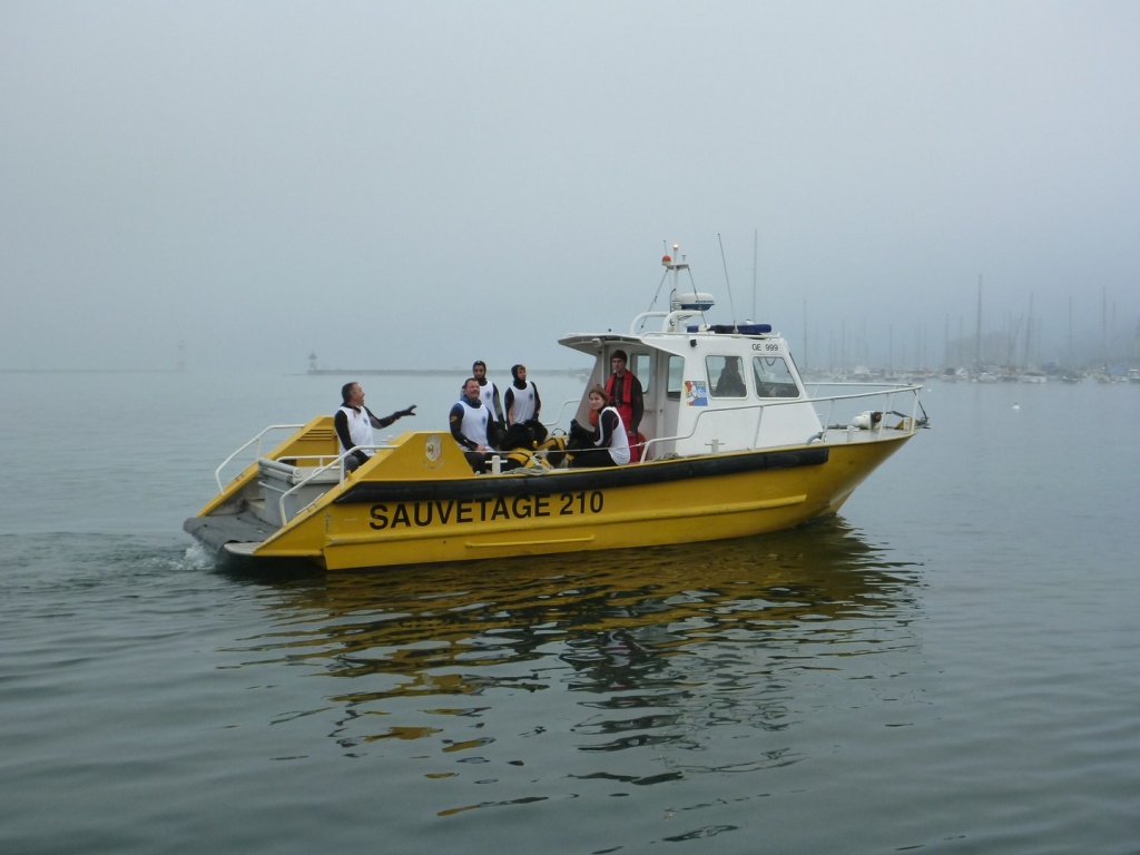 Les chiens de sauvetage plus chauds que jamais.
