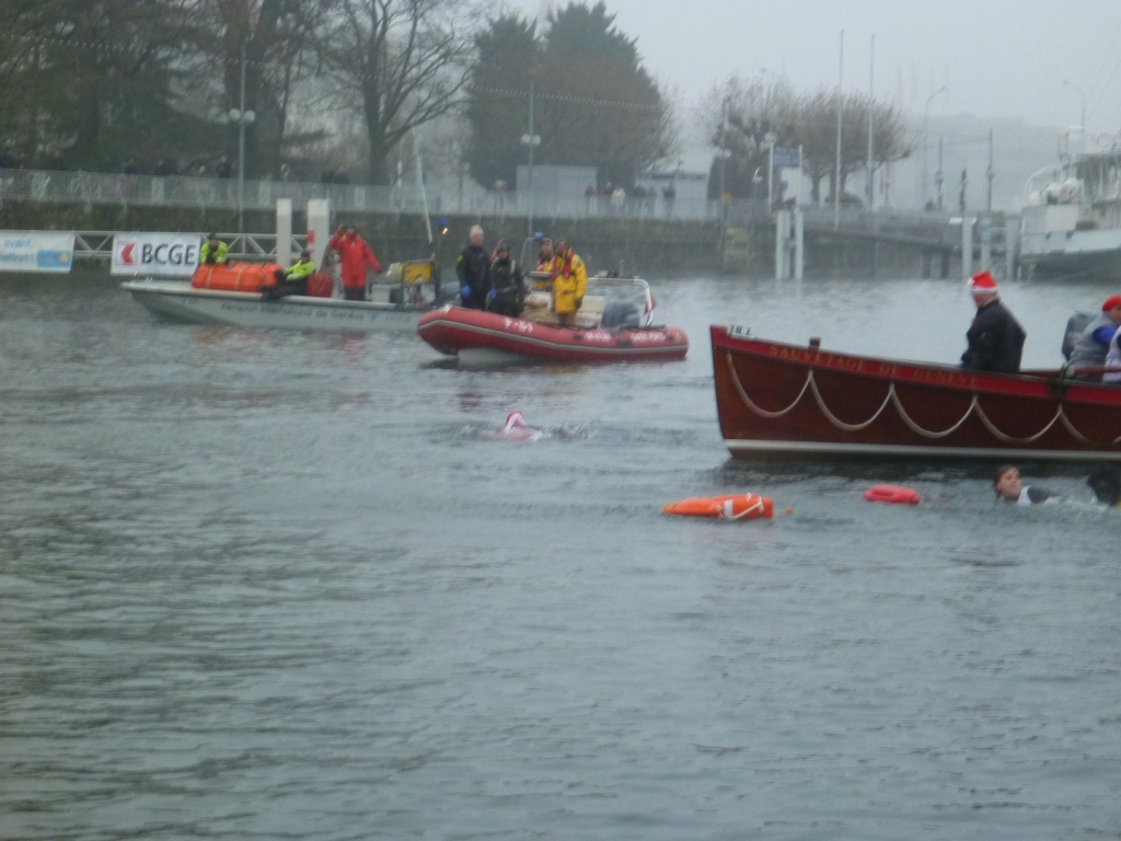 Les chiens sont lachÃ©s!
