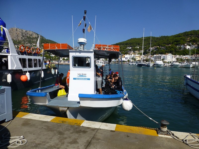 P1030972_cwz.JPG