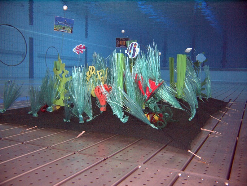 PA066766_ORF.jpg