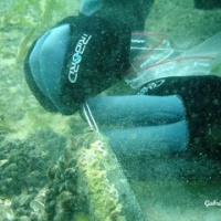 DSC09570-CPPLO.JPG