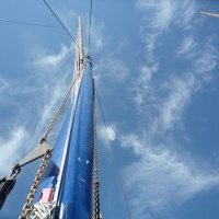 P1030572-CPPLO.JPG