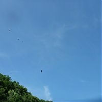 P1030955_28Copier29.JPG